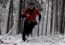 Spaß Joggen Wald Fun Action