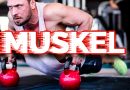 Muskel Bodybuilder Training