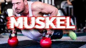 Muskel Bodybuilder Training